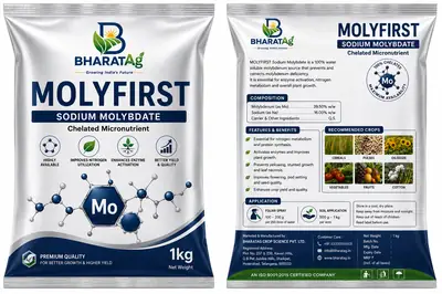 MOLYFIRST