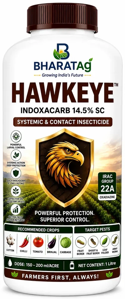 HAWKEYE