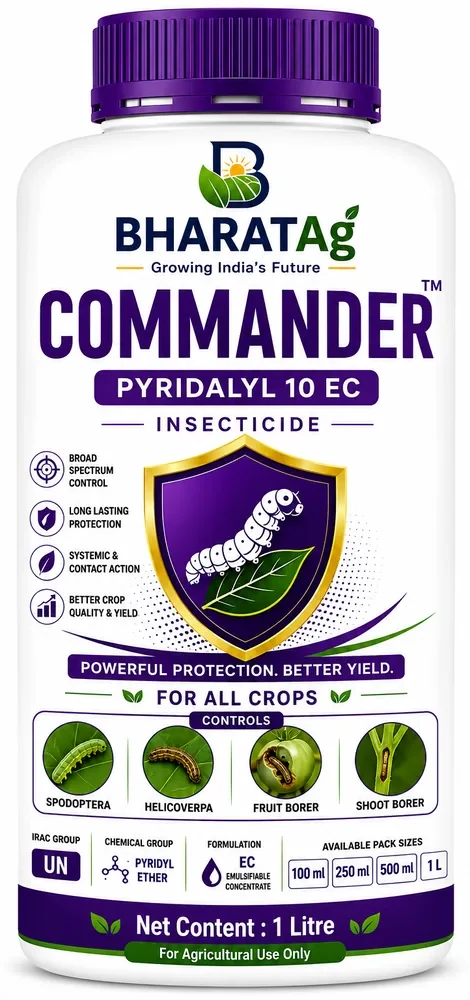 COMMANDER