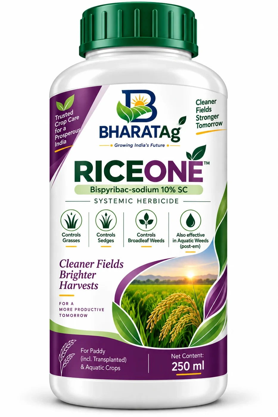RICEONE