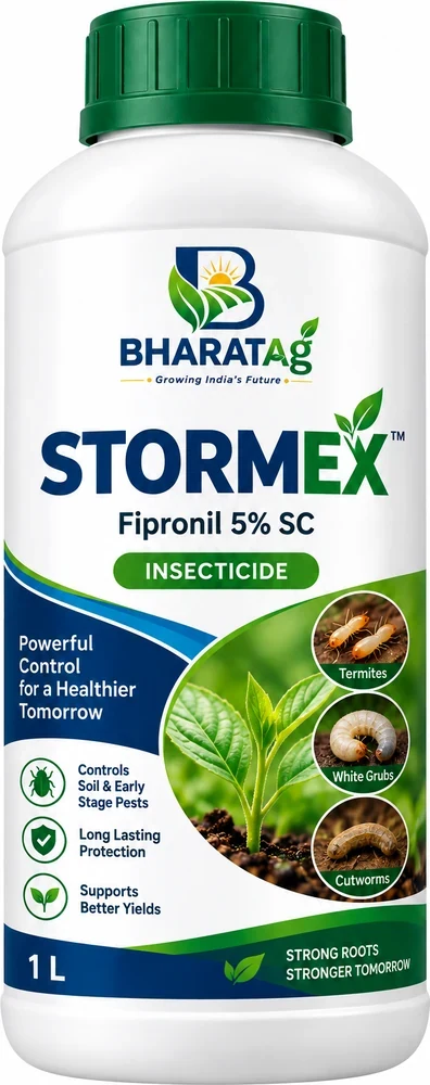 STORMEX