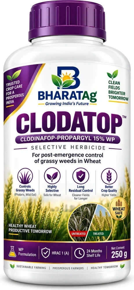 CLODATOP