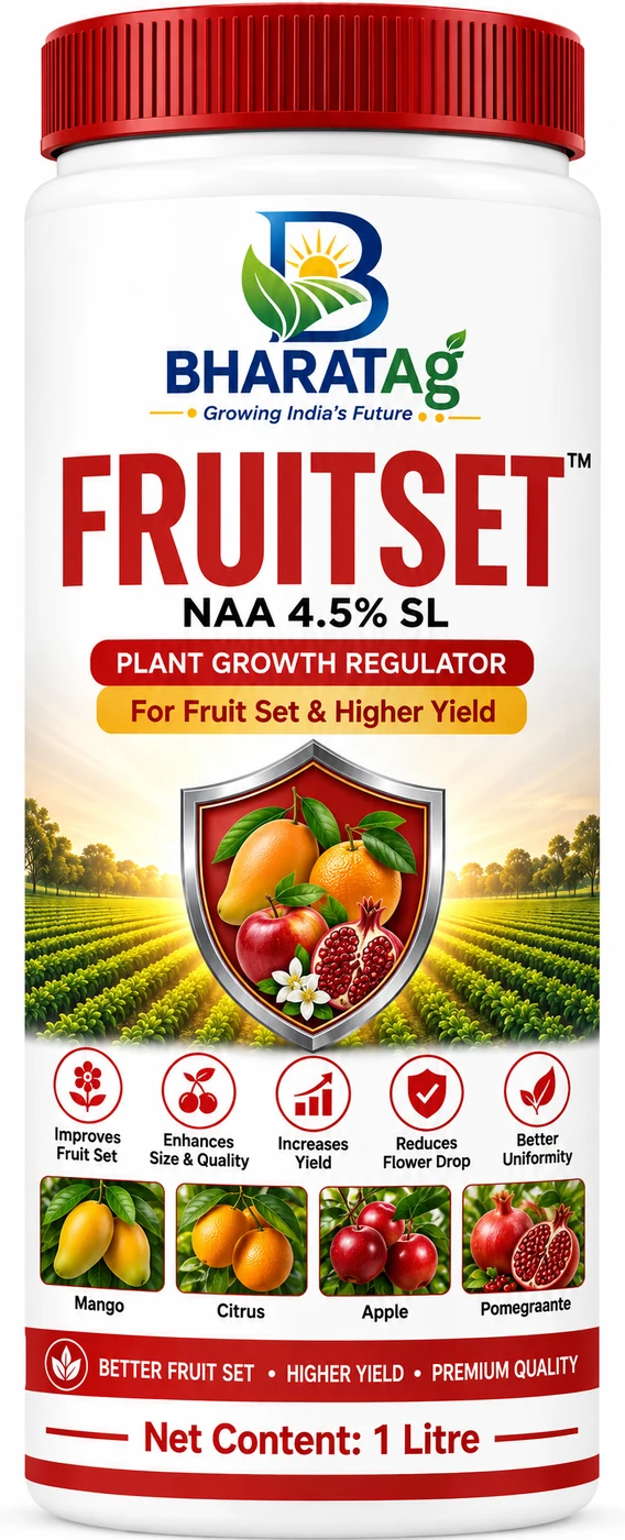 FRUITSET