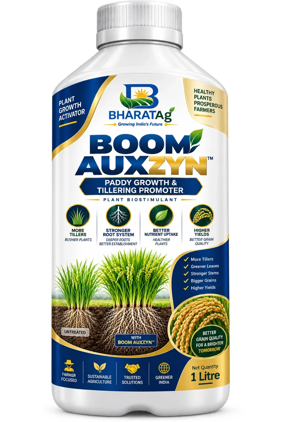 BOOM AUXZYN