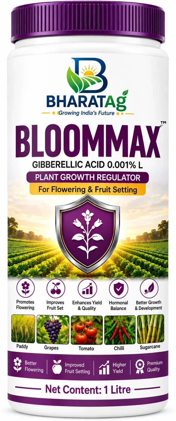 BLOOMMAX