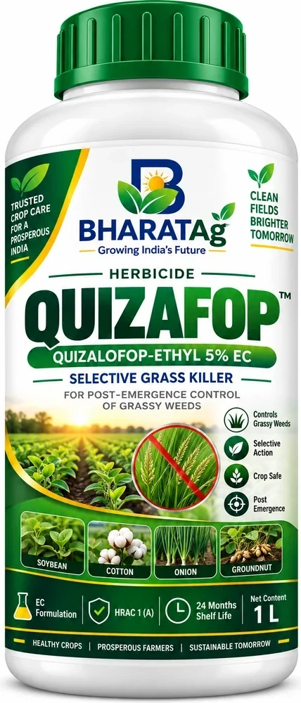 QUIZAFOP
