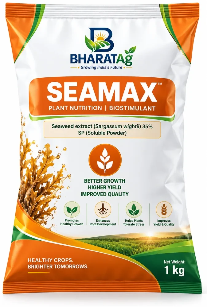 SEAMAX