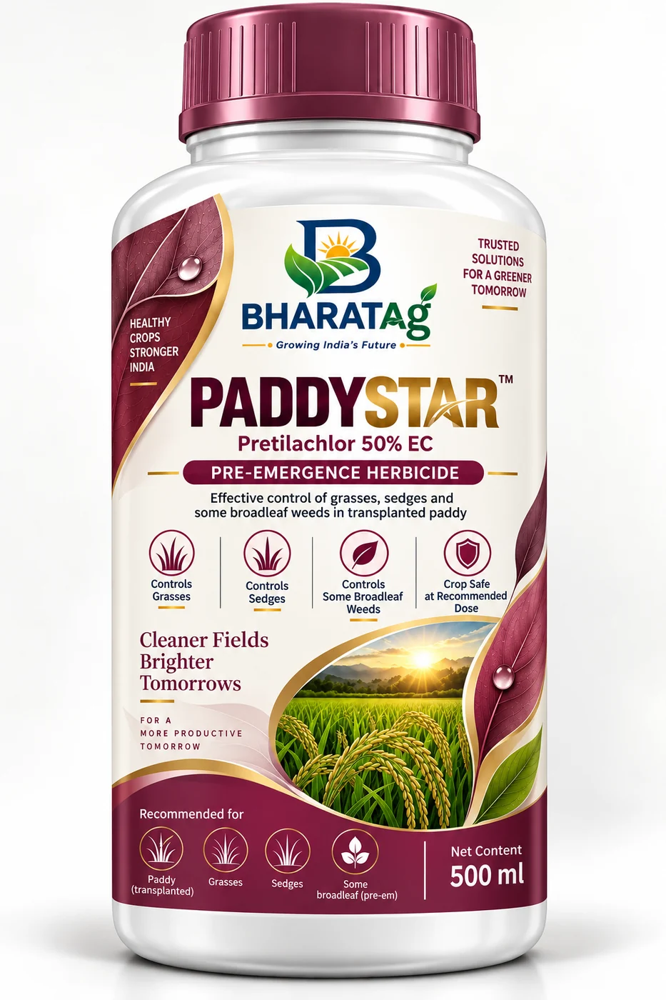 PADDYSTAR