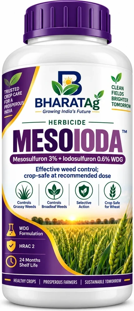 MESOIODA